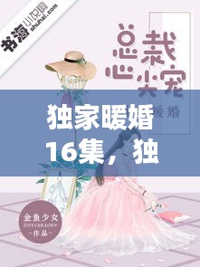 獨(dú)家暖婚16集，獨(dú)家暖寵 