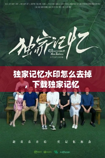 獨(dú)家記憶水印怎么去掉，下載獨(dú)家記憶 