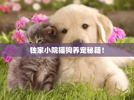 獨(dú)家小院貓狗養(yǎng)寵秘籍！