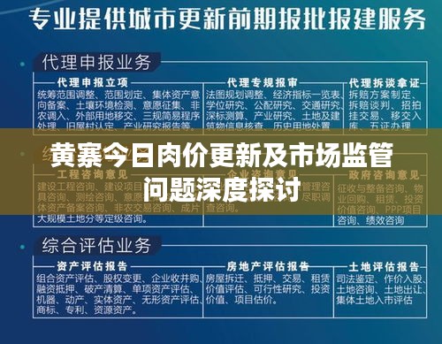 2025年1月 第152頁