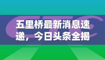 五里橋最新消息速遞，今日頭條全揭秘！