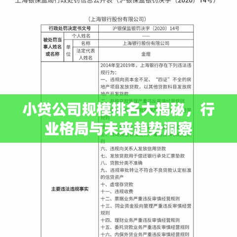 小貸公司規(guī)模排名大揭秘，行業(yè)格局與未來(lái)趨勢(shì)洞察