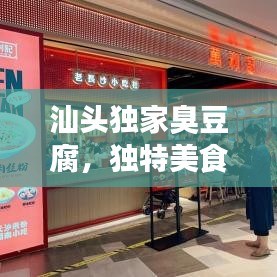 汕頭獨家臭豆腐，獨特美食之旅，讓你一吃難忘！