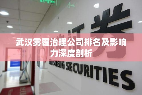 武漢霧霾治理公司排名及影響力深度剖析