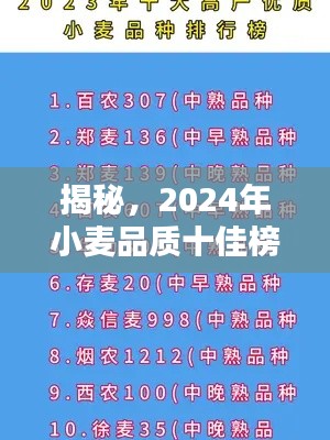 揭秘，2024年小麥品質(zhì)十佳榜單解析