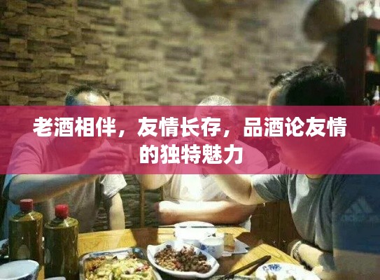 老酒相伴，友情長(zhǎng)存，品酒論友情的獨(dú)特魅力