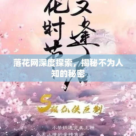 落花網(wǎng)深度探索，揭秘不為人知的秘密
