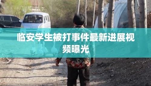 臨安學(xué)生被打事件最新進(jìn)展視頻曝光