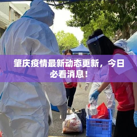 肇慶疫情最新動態(tài)更新，今日必看消息！
