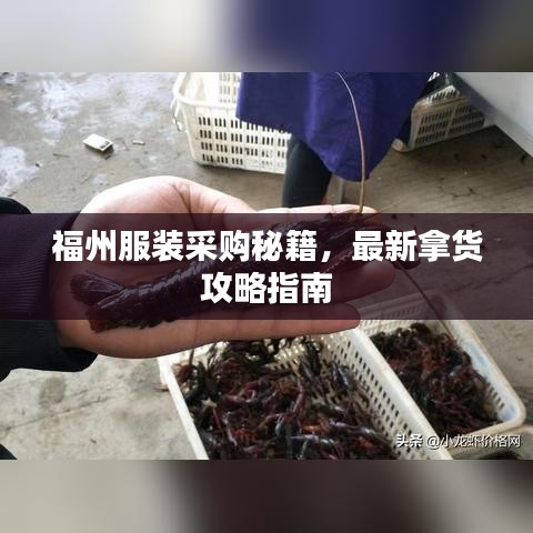 福州服裝采購秘籍，最新拿貨攻略指南