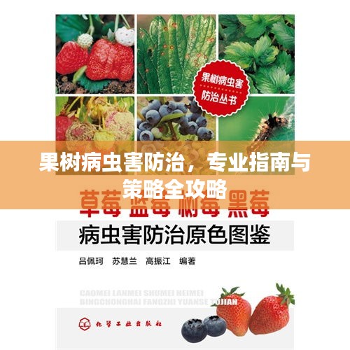 果樹病蟲害防治，專業(yè)指南與策略全攻略
