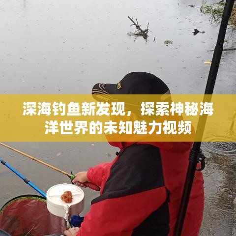 深海釣魚新發(fā)現(xiàn)，探索神秘海洋世界的未知魅力視頻