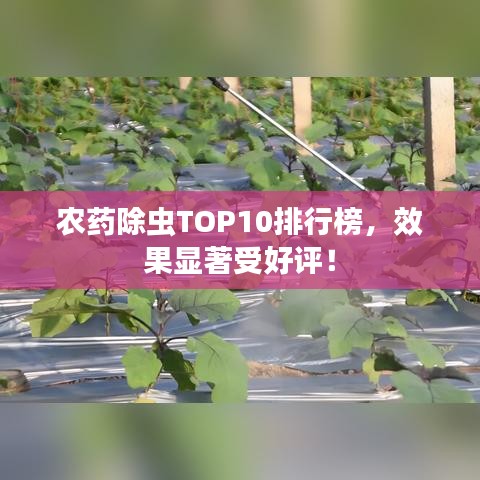 農(nóng)藥除蟲(chóng)TOP10排行榜，效果顯著受好評(píng)！
