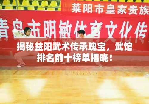 揭秘益陽(yáng)武術(shù)傳承瑰寶，武館排名前十榜單揭曉！