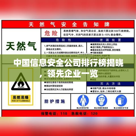 中國信息安全公司排行榜揭曉，領先企業(yè)一覽