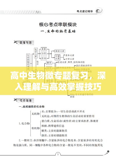 高中生物微專題復(fù)習(xí)，深入理解與高效掌握技巧