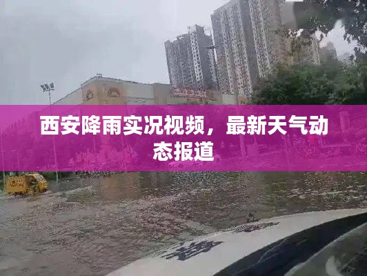 西安降雨實況視頻，最新天氣動態(tài)報道