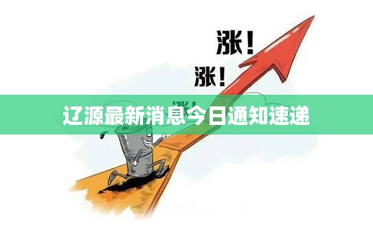 遼源最新消息今日通知速遞