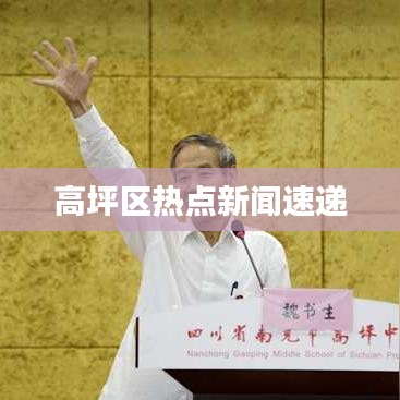 高坪區(qū)熱點新聞速遞