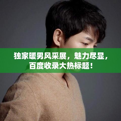 獨(dú)家暖男風(fēng)采展，魅力盡顯，百度收錄大熱標(biāo)題！