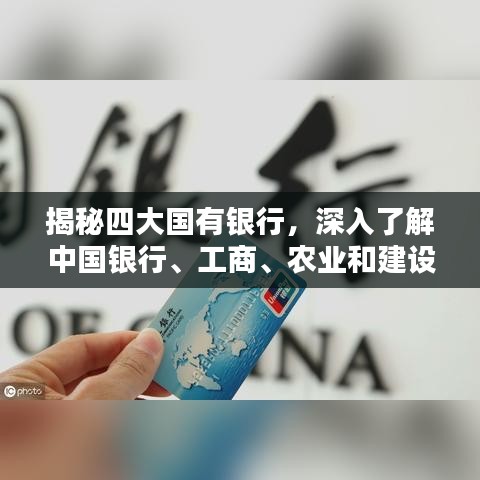 揭秘四大國有銀行，深入了解中國銀行、工商、農(nóng)業(yè)和建設(shè)銀行的全方位信息