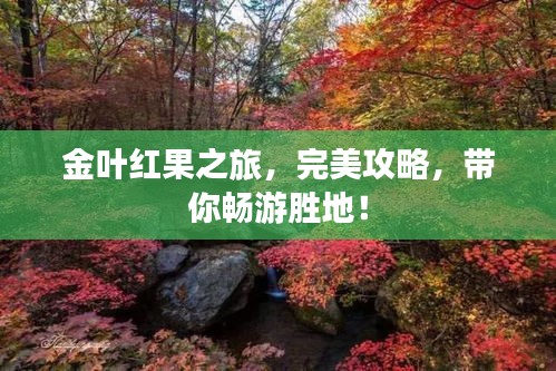 金葉紅果之旅，完美攻略，帶你暢游勝地！