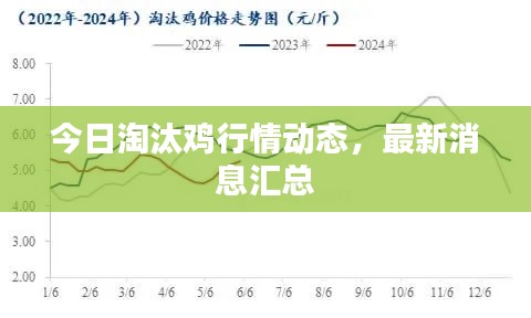 今日淘汰雞行情動(dòng)態(tài)，最新消息匯總