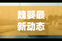魏嬰最新動態(tài)視頻曝光，不容錯過！