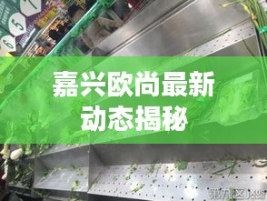 嘉興歐尚最新動(dòng)態(tài)揭秘