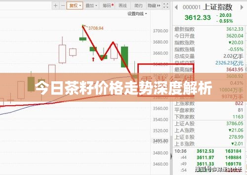 今日茶籽價(jià)格走勢(shì)深度解析