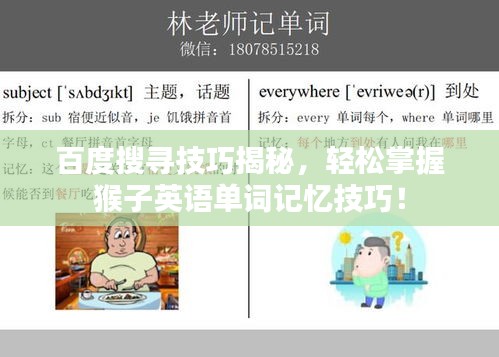 百度搜尋技巧揭秘，輕松掌握猴子英語單詞記憶技巧！