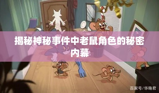 揭秘神秘事件中老鼠角色的秘密內幕