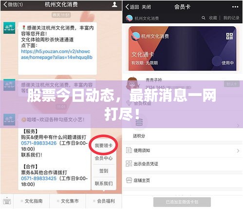 股票今日動態(tài)，最新消息一網(wǎng)打盡！