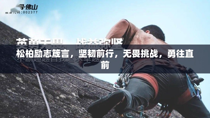 松柏勵志箴言，堅韌前行，無畏挑戰(zhàn)，勇往直前