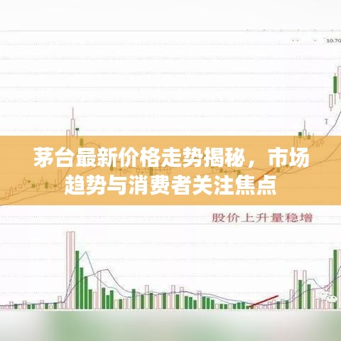 茅臺(tái)最新價(jià)格走勢(shì)揭秘，市場(chǎng)趨勢(shì)與消費(fèi)者關(guān)注焦點(diǎn)