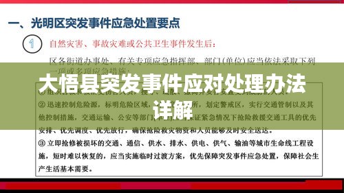 大悟縣突發(fā)事件應(yīng)對處理辦法詳解