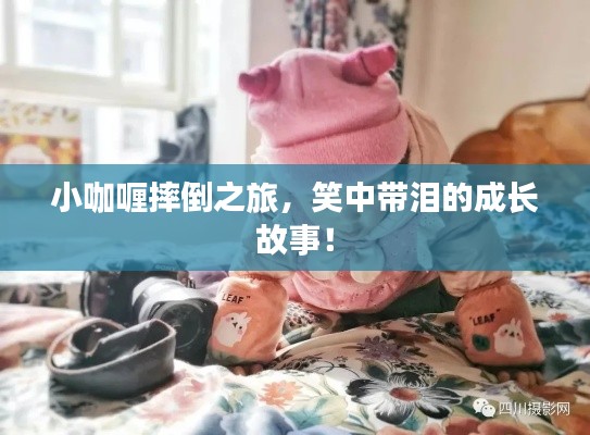 小咖喱摔倒之旅，笑中帶淚的成長故事！