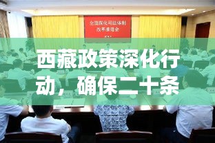 西藏政策深化行動，確保二十條措施落地生根，成效顯著矚目