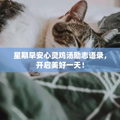 星期早安心靈雞湯勵志語錄，開啟美好一天！