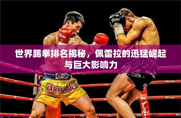 世界踢拳排名揭秘，佩雷拉的迅猛崛起與巨大影響力