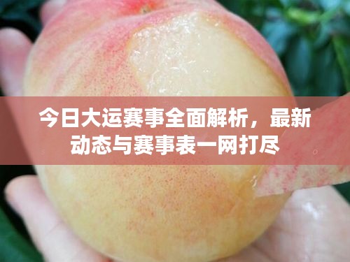 今日大運(yùn)賽事全面解析，最新動(dòng)態(tài)與賽事表一網(wǎng)打盡