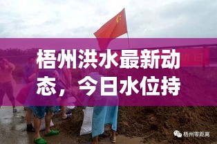 梧州洪水最新動態(tài)，今日水位持續(xù)上漲