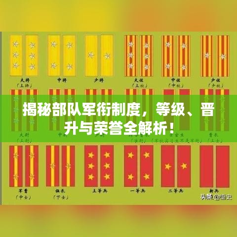 揭秘部隊軍銜制度，等級、晉升與榮譽全解析！