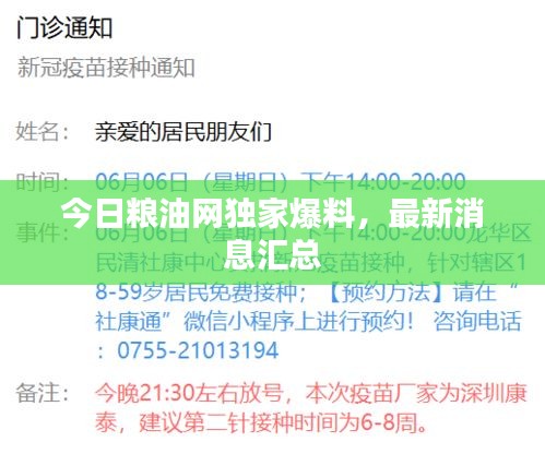 今日糧油網(wǎng)獨家爆料，最新消息匯總