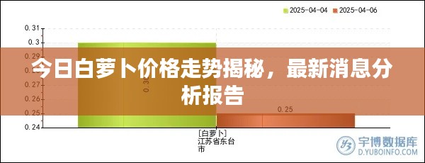 今日白蘿卜價(jià)格走勢(shì)揭秘，最新消息分析報(bào)告