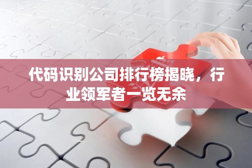 代碼識別公司排行榜揭曉，行業(yè)領(lǐng)軍者一覽無余