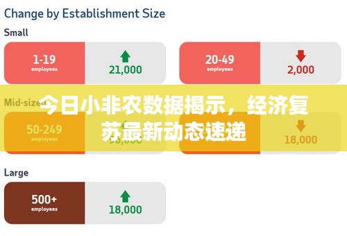 今日小非農(nóng)數(shù)據(jù)揭示，經(jīng)濟復(fù)蘇最新動態(tài)速遞
