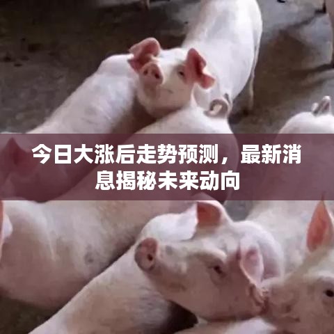 今日大漲后走勢預(yù)測，最新消息揭秘未來動向