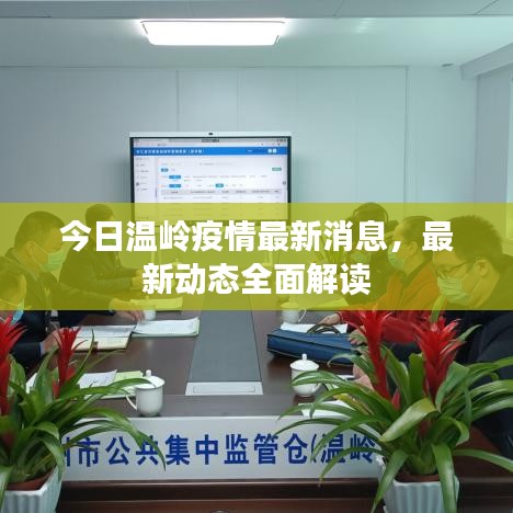今日溫嶺疫情最新消息，最新動態(tài)全面解讀