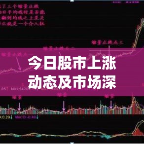 今日股市上漲動態(tài)及市場深度解讀
